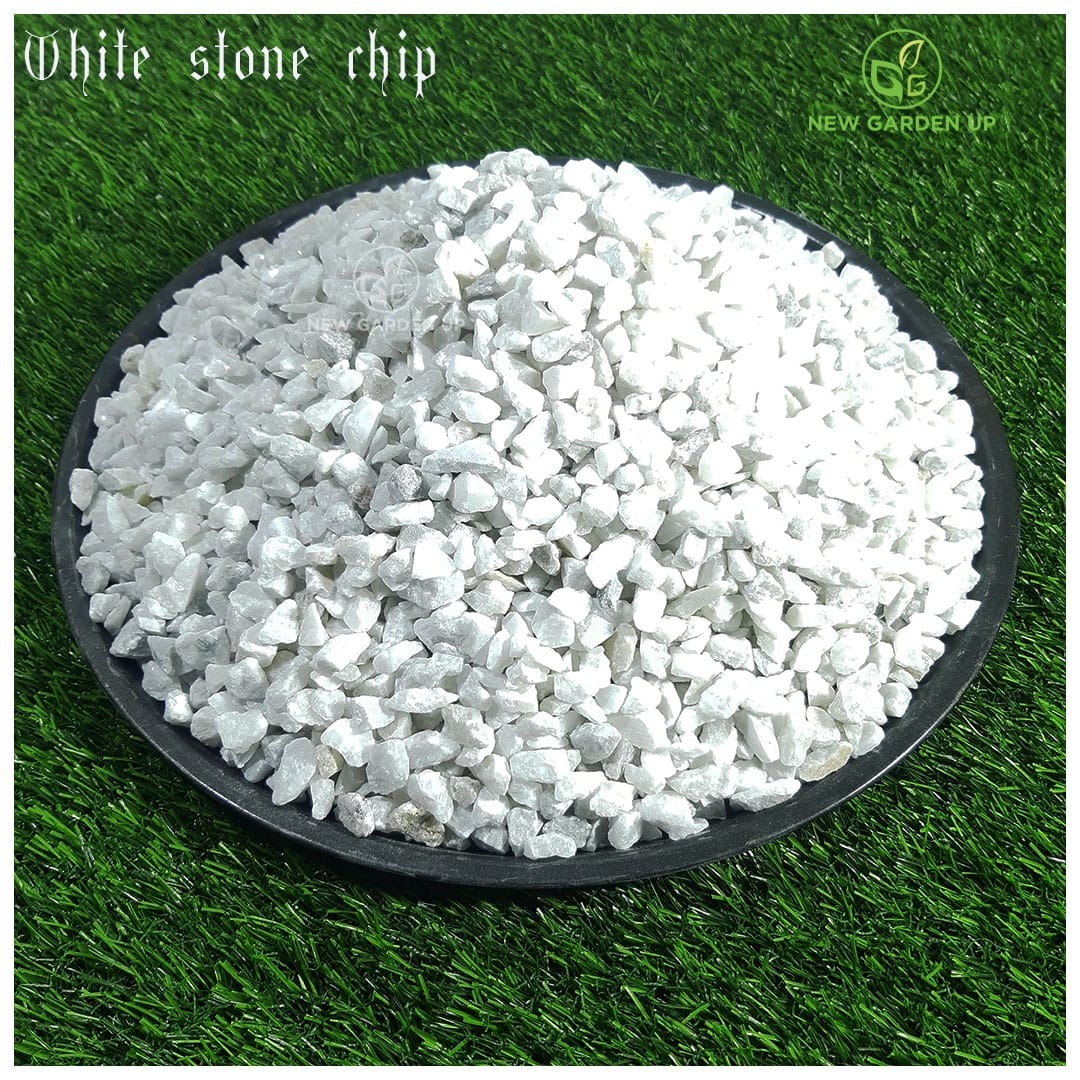 Pebbles (White chips stone)