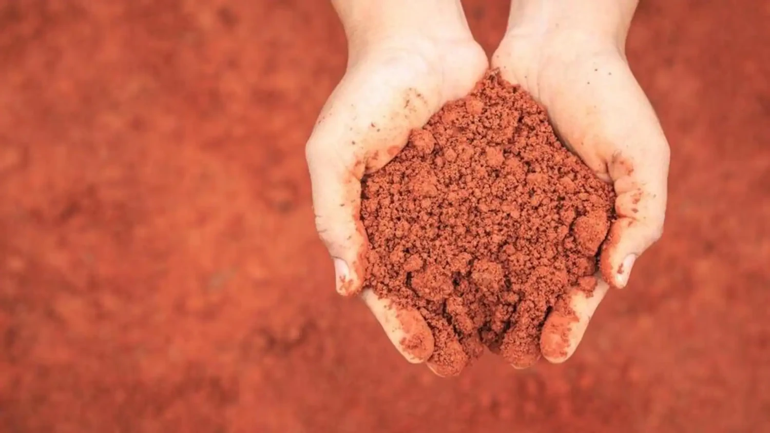 Soil Mixes (Red soil)