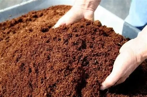 Soil Mixes (coco peat compost)